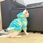 Gradient Sphynx Cat Clothes Warm Hooded Sweater - Image 8
