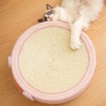 Cute Pig Cat Bed Round Scratching Pad - Image 4