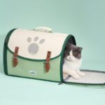 Cat Carrier Bag Travel Tote Large Backpack - Image 4