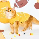 Rugby Star Cat Vest 4 Colors Pet Clothes - Image 2
