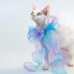 Fairy Bow Adjustable Cat Collar - Image 3