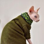 Solid Color Warm Sphynx Hairless Cat Green Clothes - Image 5