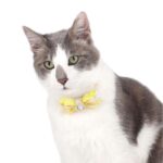 Fantasy Fairy Gemstone Cat Collar - Image 5