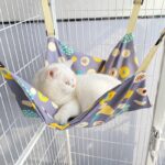 Cat Hammock for Cage 3 Color All Season Cute Bed - Image 12