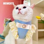 Princess Cute Cat Leash Carrier Harness