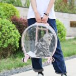 Transparent Cat Trolley With Wheels Rolling Carrier - Image 2