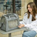 Cat Carrier With Wheels 2 Color Large Tote Trolley - Image 3