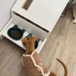 Modern Pet Wooden Furniture Cat House Bed - Image 9
