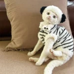 Cute Zebra Stripe Warm Clothes for Hairless Cats - Image 3