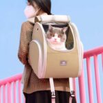 Expandable Large 2 Color Cat Carrier Backpack - Image 5