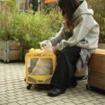 School Bus Carrier With Wheels Trolley for 2 Cats - Image 9