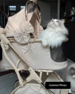 Luxury Detachable Cat Carrier Rolling Stroller - Image 15