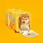 School Bus Carrier With Wheels Trolley for 2 Cats - Image 12