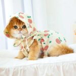 Rustic Cat Pumpkin Pants 2 Color Pet Clothes - Image 5