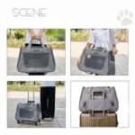 Cat Carrier With Wheels 2 Color Large Tote Trolley - Image 2