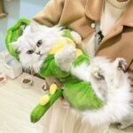 Funny Warm Cat Dinosaur Clothes 2 Style - Image 3