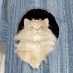 Deluxe Large Cactus Solid Cat Tree Climbing Frame - Image 8