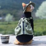 Sphynx Cat Vest 3 Color Devon Hairless Cat Clothes - Image 2