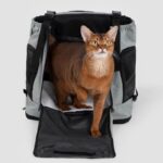 Mountain Chest Backpack Cat Front Carrier - Image 14