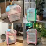 Macaroon Cat Trolley Carrier for Two Cats on Wheels - Image 9