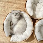 Cooling Cat Bed Hand Made Wicker Nest - Image 2