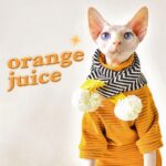 Striped Warm Sphynx Cat Bottom Shirt Clothes - Image 2