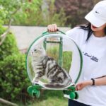 Transparent Cat Trolley With Wheels Rolling Carrier - Image 6