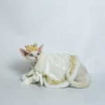 Sphynx Cat Clothes Warm Upscale Couple Cape - Image 8