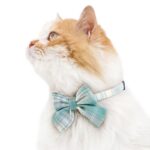 JK Bow Tie Cat Collar Set - Image 3