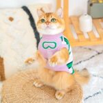 Cat Clothes 3 Color Winter Warm Sweater Vest - Image 2