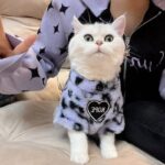 Cat Clothes 3 Color Winter Plush Warm Sweatshirts - Image 5