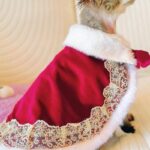 Sphynx Cat Clothes Warm Upscale Couple Cape - Image 14