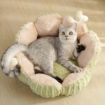Small Cactus 2 Color Fluffy Warm Cat Bed - Image 3