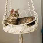 Cat Hammock Nest Handmade Cotton Rope Swing Bed - Image 19