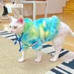 Gradient Sphynx Cat Clothes Warm Hooded Sweater