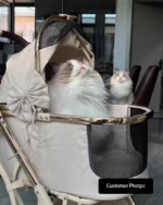 Luxury Detachable Cat Carrier Rolling Stroller - Image 17