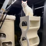Luxury Minimalist Cat Climbing Tree Scratching Bed - Image 7