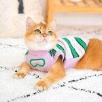Cat Clothes 3 Color Winter Warm Sweater Vest - Image 5