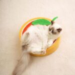 Cute Pig Cat Bed Round Scratching Pad - Image 9