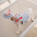 Cowboy Hairless Cat Clothes Hat Sphynx Leash - Image 17