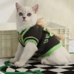 Cat Clothes 2 Style Warm Bear Rabbit Sweater - Image 12