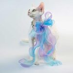 Fairy Bow Adjustable Cat Collar - Image 2