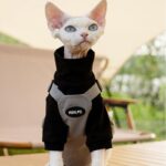 Sphynx Cat Vest 3 Color Devon Hairless Cat Clothes - Image 13