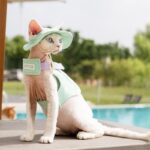 Cowboy Hairless Cat Clothes Hat Sphynx Leash - Image 19