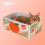 Japanese Cat Scratching Board Included Carton Cat Bed