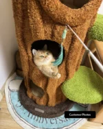Luxury Cat Tree Looks Like Tree Tall Climbing Frame - Image 18