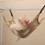 Cat Hammock 3 Color Summer Double Sided Bed - Image 6
