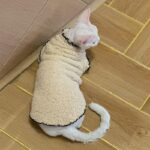 Soft Lambswool Hairless Cat Clothes - Image 5