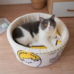 Canned Food Lovely Cat Bed 2 Color Cat Nest - Image 8
