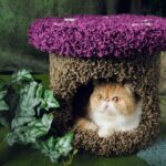 Mushroom Forest Cat Tree Climbing Frame - Image 11